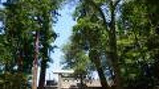 伊勢神宮の正宮である内宮