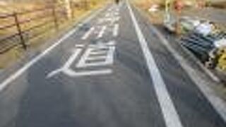 嵐山～奈良間のサイクリング用道路
