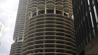 歩いていると目を惹きます。