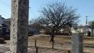 武蔵国分寺尼寺跡