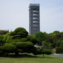 広大な敷地の浜名湖ガーデンパークの風景