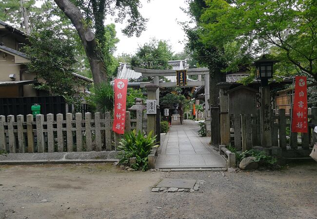 白雲神社 京都御苑内 クチコミ アクセス 営業時間 今出川 北大路 北野 フォートラベル 白雲神社 京都御苑内 クチコミ アクセス 営業時間 今出川 北大路 北野 フォートラベル