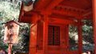 箱根神社の境内に