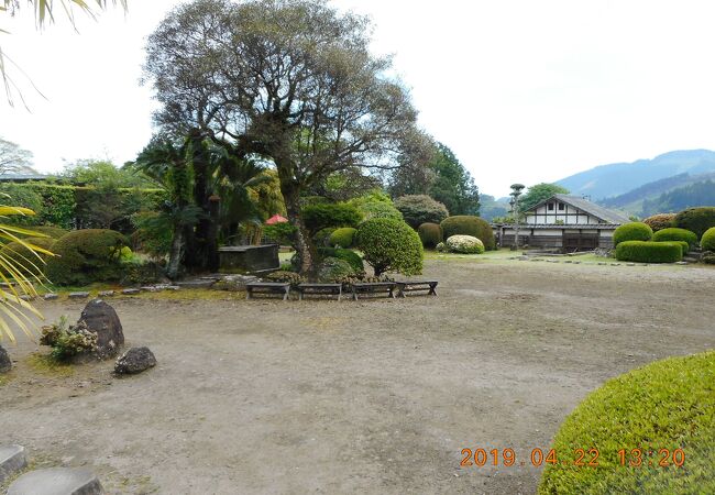 伊東家庭園 豫章館 クチコミ アクセス 営業時間 日南 フォートラベル