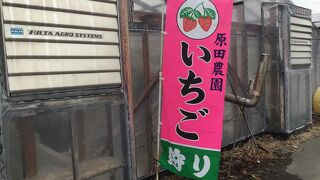 冬季は苺か、林檎。