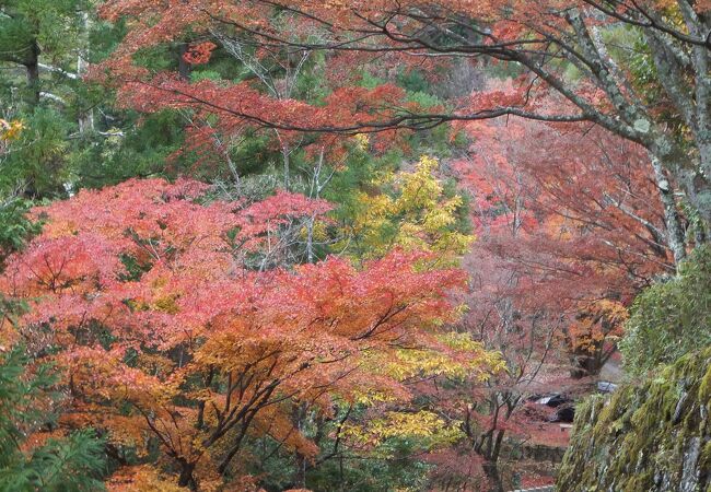 高城山 クチコミ・アクセス・営業時間｜吉野【フォートラベル】