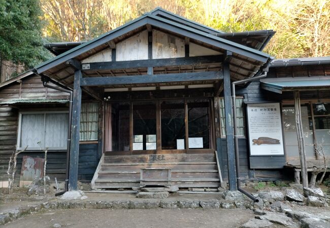 死者の霊を百一日の茶湯で供養する「百一日参り」の寺