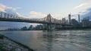 近くの公園からきれいに見えました