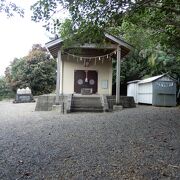 父島の歴史を観光するなら、小笠原神社から始めよう