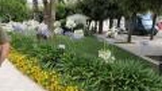 6-7月は初夏の花が咲き乱れます