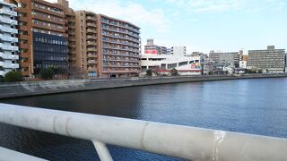 臨港鶴見川橋上でカモメを撮りたい、が(._.)