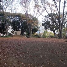 全体の様子です。