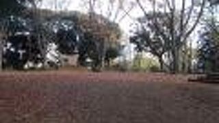 芝丸山古墳の頂上にあります。