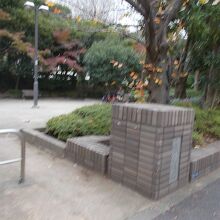 公園の様子です。