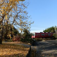 イチョウ畑の中を行く名鉄の電車です。山崎駅付近です。