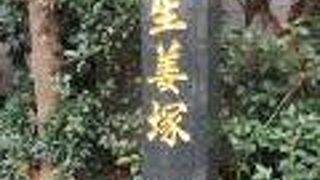 めずらしいものです。