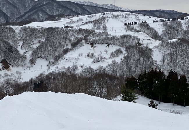 余呉 高原 スキー 場