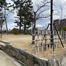 公園内の様子です。