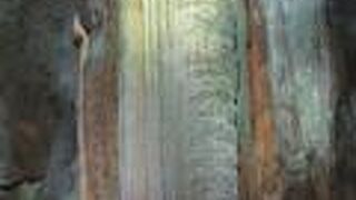 秋芳洞のシンボルです。