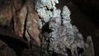 髪や髭が伸び放題となった巌窟王です。