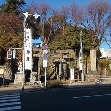 全体の様子です。