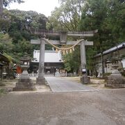 徳川家のルーツ