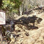 大山の登山道の足元に転がる岩の中に球体の丸い石が・・・