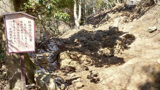 大山の登山道の足元に転がる岩の中に球体の丸い石が・・・