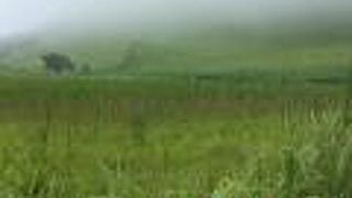 ハイキングの良い場所