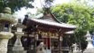 平日でお客さんはいませんでした