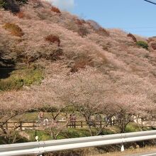 川見薬師寺