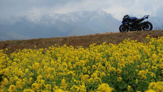 冬景色と春景色の競演♪