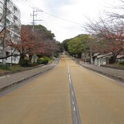 健康増進公園です。