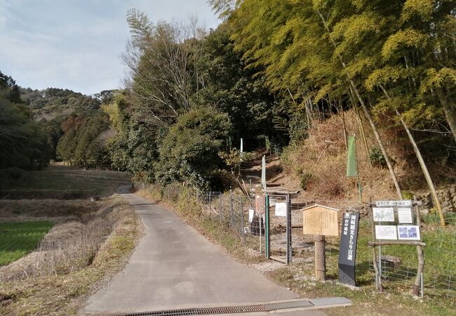 三河地方最大の山城