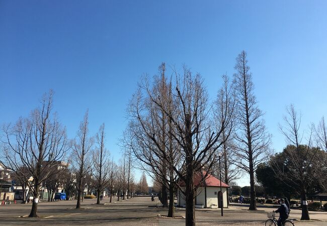 川崎の公園 植物園 クチコミ人気ランキングtop9 フォートラベル 神奈川県