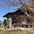 田園地帯に建つ静かなお寺