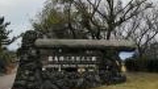 総称みたいです