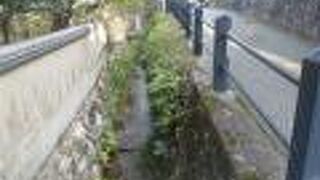 蓋をされなくて良かった！