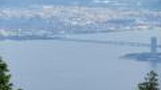 美しいフォルムです