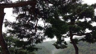 雨の日もいいよ