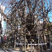 全体の景観です。