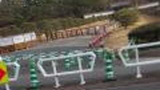 眺めるだけしかできない