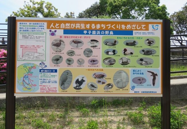 兵庫県立甲子園浜海浜公園 クチコミ アクセス 営業時間 西宮 芦屋 フォートラベル 兵庫県立甲子園浜海浜公園 クチコミ アクセス 営業時間 西宮 芦屋 フォートラベル