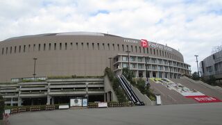 どっしりとした印象でした。