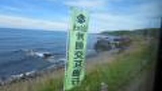 目立ってました