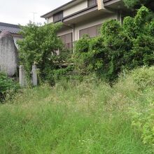 石碑が建ってます