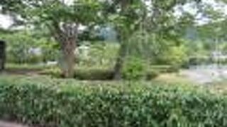 とにかく広いです