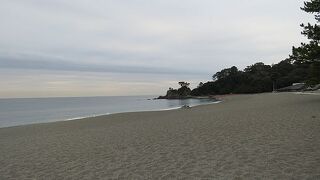 台風の爪痕が残っていました