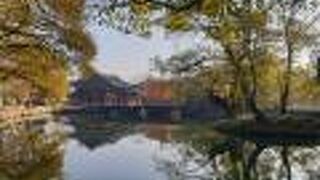 紅葉がきれいなベストシーズン！