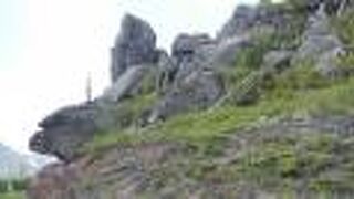 ダケカンバやブナなどの樹海の向こうに岩手山などの美しい稜線が一望できます。